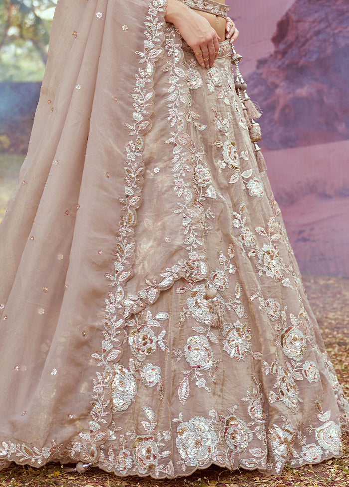 3 Pc Beige Silk Semi Stitched Lehenga Set Cost Cheap Online