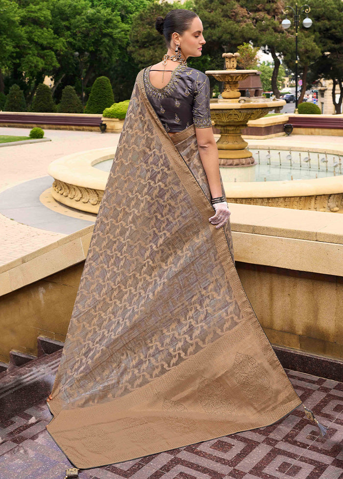 Grey Spun Silk Saree With Blouse Piece Visa Payment For Sale