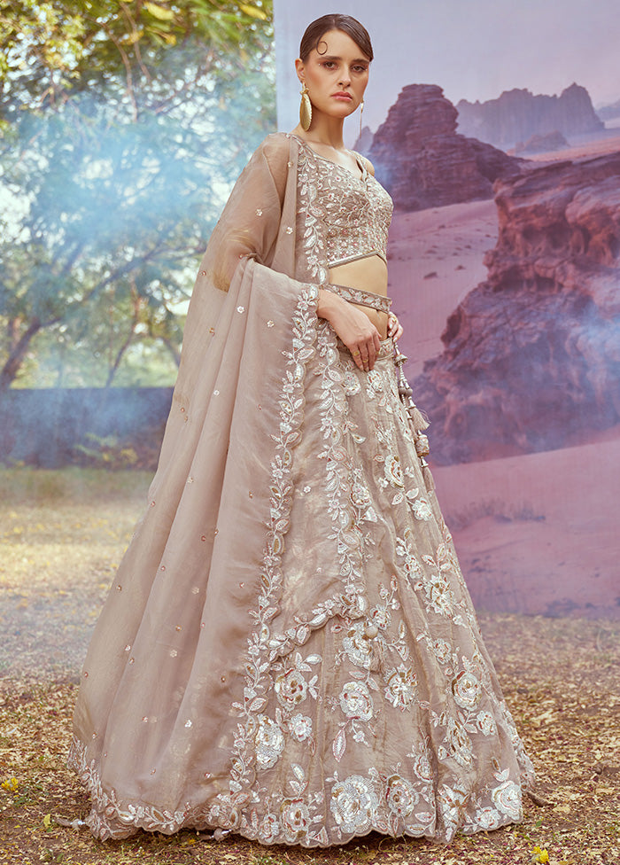 3 Pc Beige Silk Semi Stitched Lehenga Set Cost Cheap Online