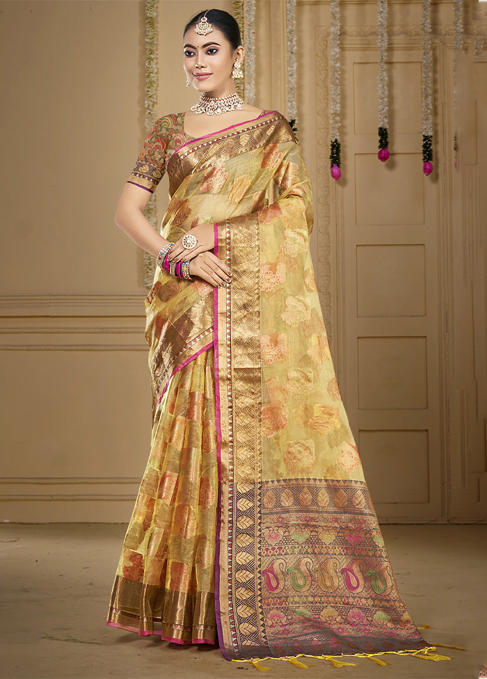 Beige Organza Saree With Blouse Piece Cheap New Styles